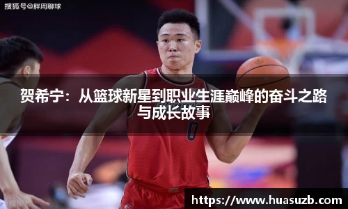 贺希宁：从篮球新星到职业生涯巅峰的奋斗之路与成长故事